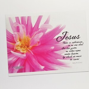 May include: A pink flower with a yellow center is featured on a card with a quote about Jesus from Acts 4:12 NLT. The quote reads: "There is salvation, in no one else! God has given no other name under heaven by which we must be saved."