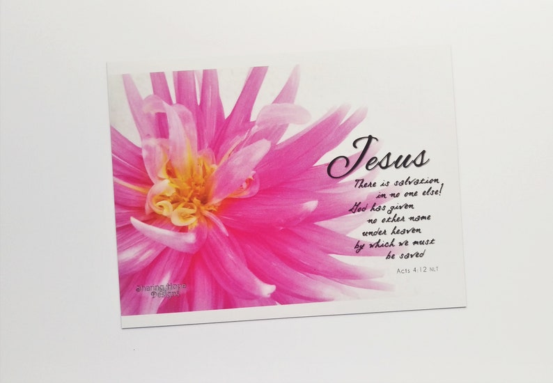 May include: A pink flower with a yellow center is featured on a card with a quote about Jesus from Acts 4:12 NLT. The quote reads: "There is salvation, in no one else! God has given no other name under heaven by which we must be saved."