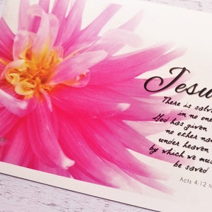 May include: Pink flower with a white background and a quote about Jesus from Acts 4:12 NLT: "There is salvation in no one else! God has given no other name under heaven by which we must be saved."