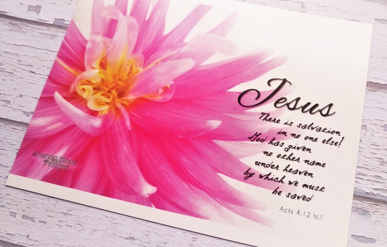 May include: Pink flower with a white background and a quote about Jesus from Acts 4:12 NLT: "There is salvation in no one else! God has given no other name under heaven by which we must be saved."