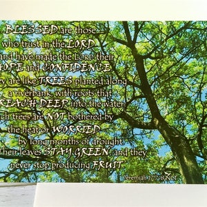 Lot de 5 cartes postales citation de la Bible bénie cèdre planté impression Silhouette écriture chrétienne religieuse carte photo verset de la Bible Jérémie 17:7-8