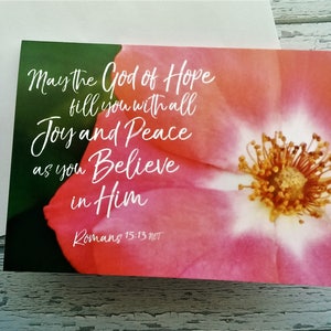 5x Rose Bible Verse Christmas Card Set Religioso Navidad Flor Roja Saludo Esperanza Alegría Paz Escritura Versículo Romanos 15:13 Nota de vacaciones religiosa