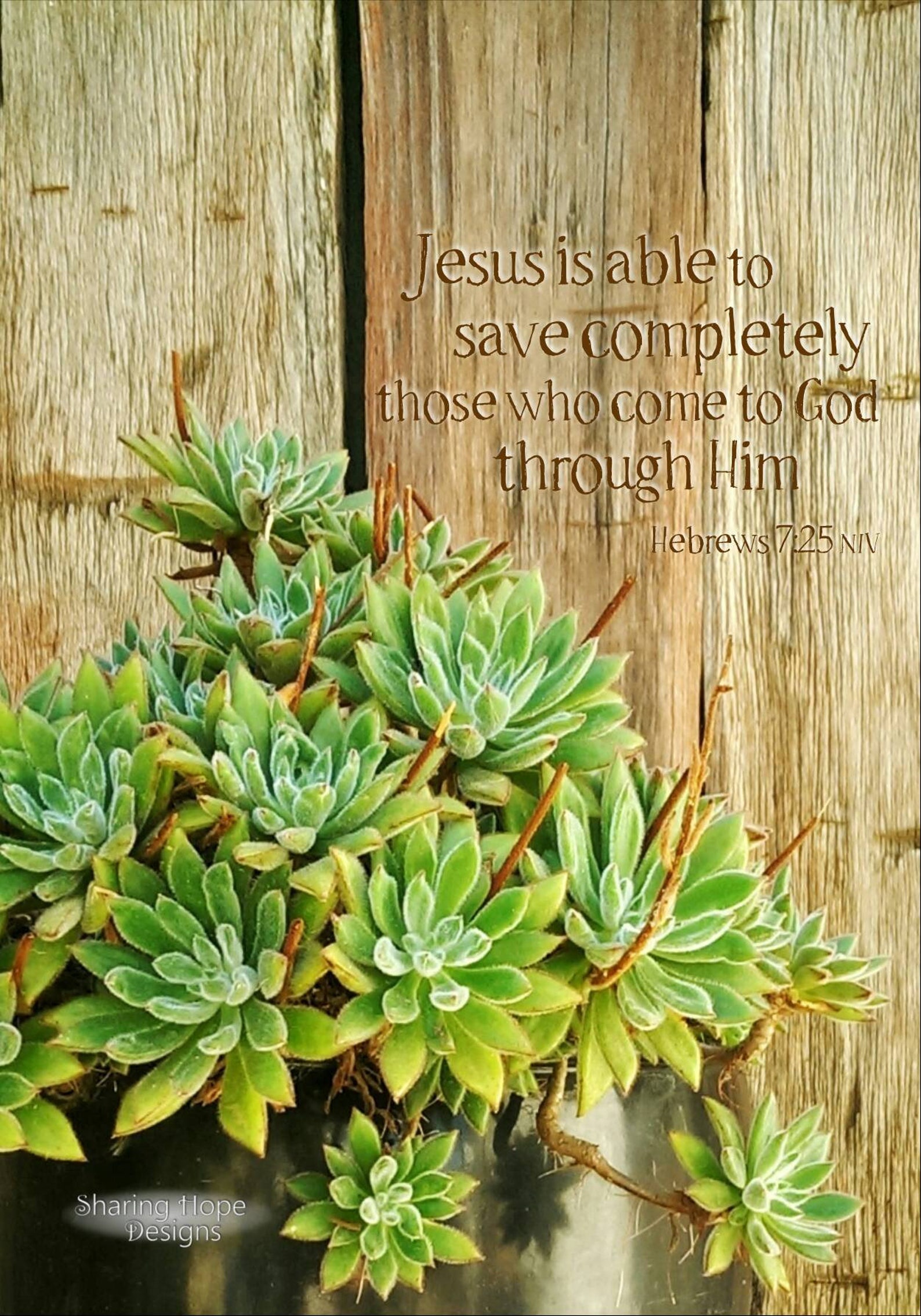 Succulent Bible Card X2 Rustic Easter Greeting Scripture Verse Etsy succulent-bible-card-x2-rustic-easter-greeting-scripture-verse-etsy