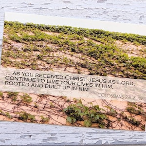 5x Life in Christ Postcard Set Green Vine Colossians 2:6-7 Rooted Bible Verse Card Christian Scripture Wall Built Up in Him Print Art