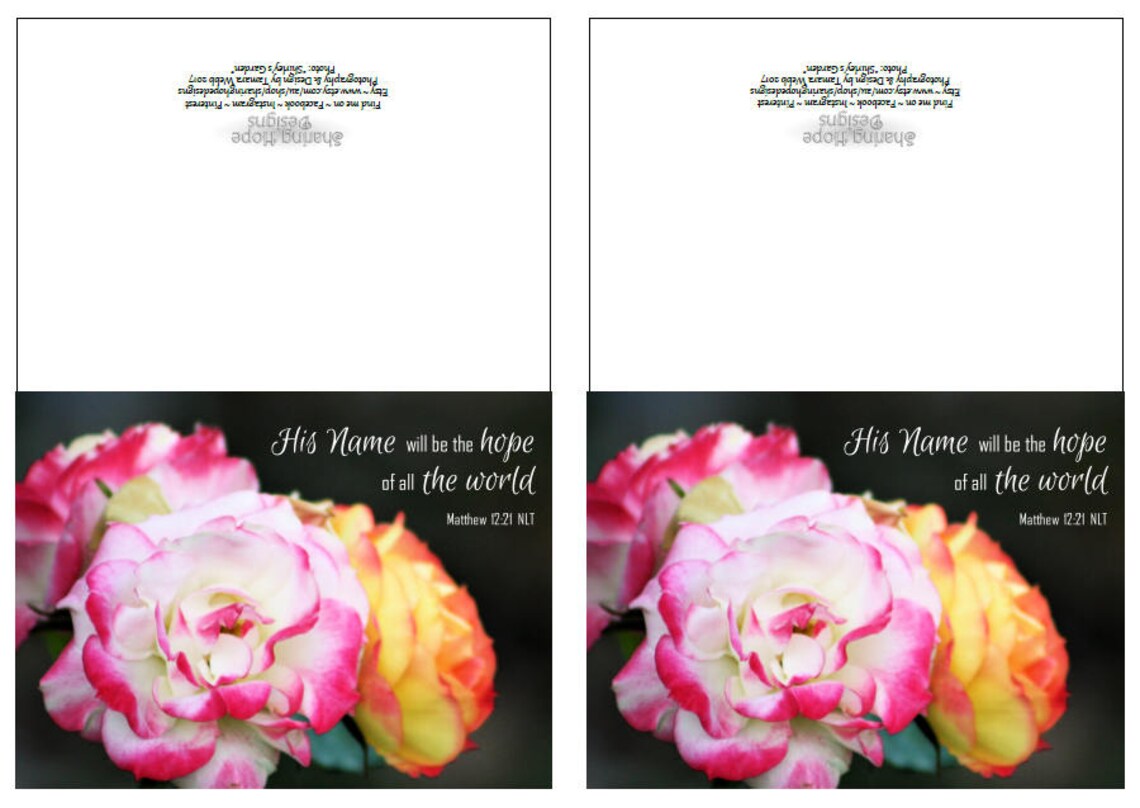 Printable Hope Bible Verse Card Rose Art Print Scripture Matthew 12:21 ...
