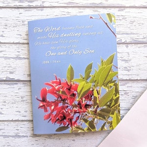 5x Conjunto de cartões dobrados com fotos de flores vermelhas de Natal Escritura Saudação de Natal João 1:14 Versículo da Bíblia de arte australiana Feriado religioso cristão
