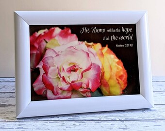 Bright Pink Roses Print, White Framed Coloured Flowers Photo Art, Hope Bible Verse Matthew 12:21 Faith Quote, Christian Woman Scripture Gift