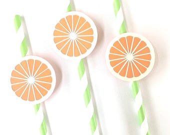 Orange slice citrus party straws