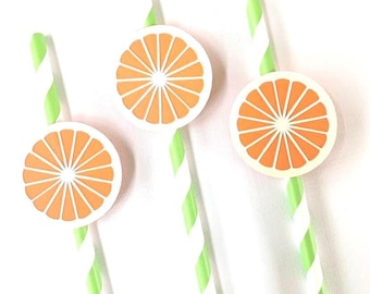 Orange slice citrus party straws