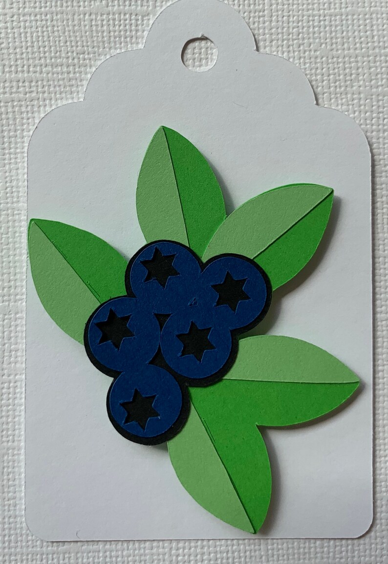 Fruit gift tags/party favor tags Etsy