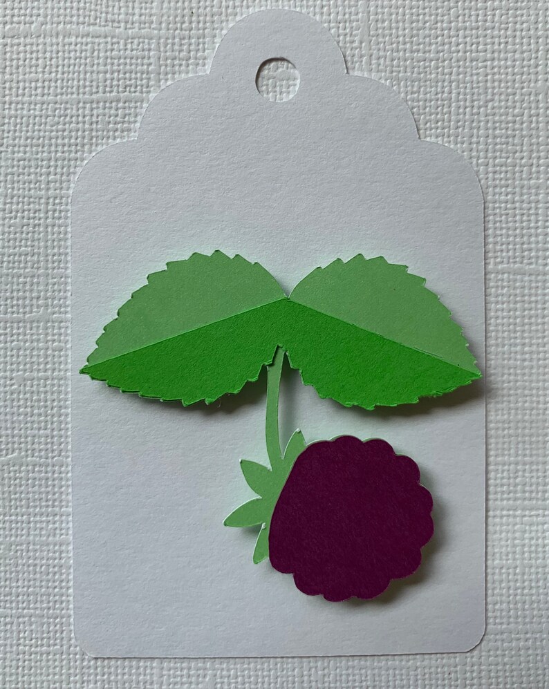 Fruit gift tags/party favor tags Etsy