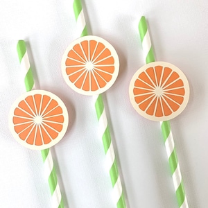 Orange slice citrus party straws