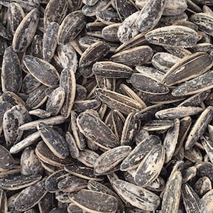 May include: A close-up image of a large pile of salted sunflower seeds. The seeds are black and white and have a rough texture.