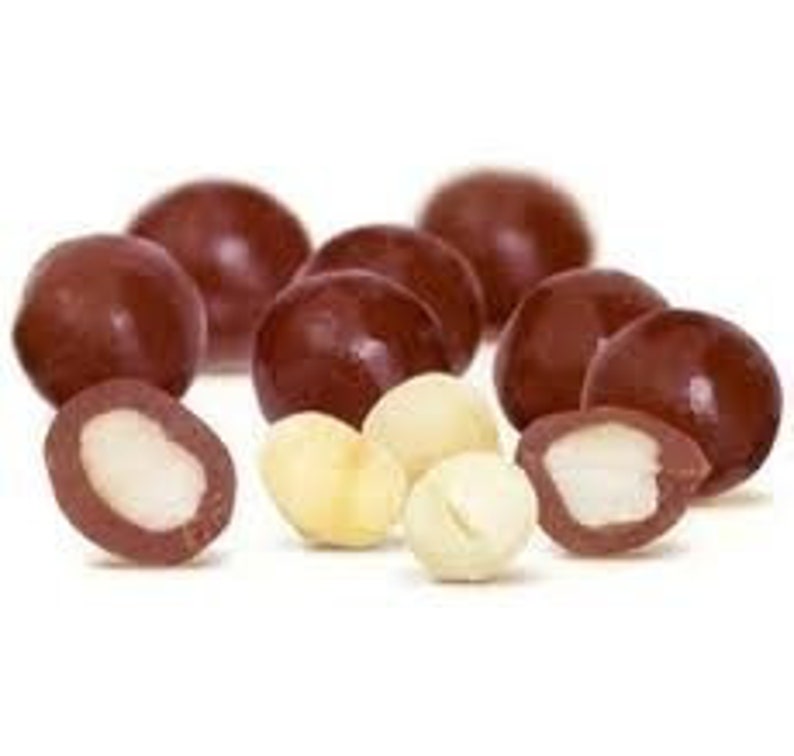 Chocolate Covered Macadamia by Its Delish dark Chocolate 5 Etsy