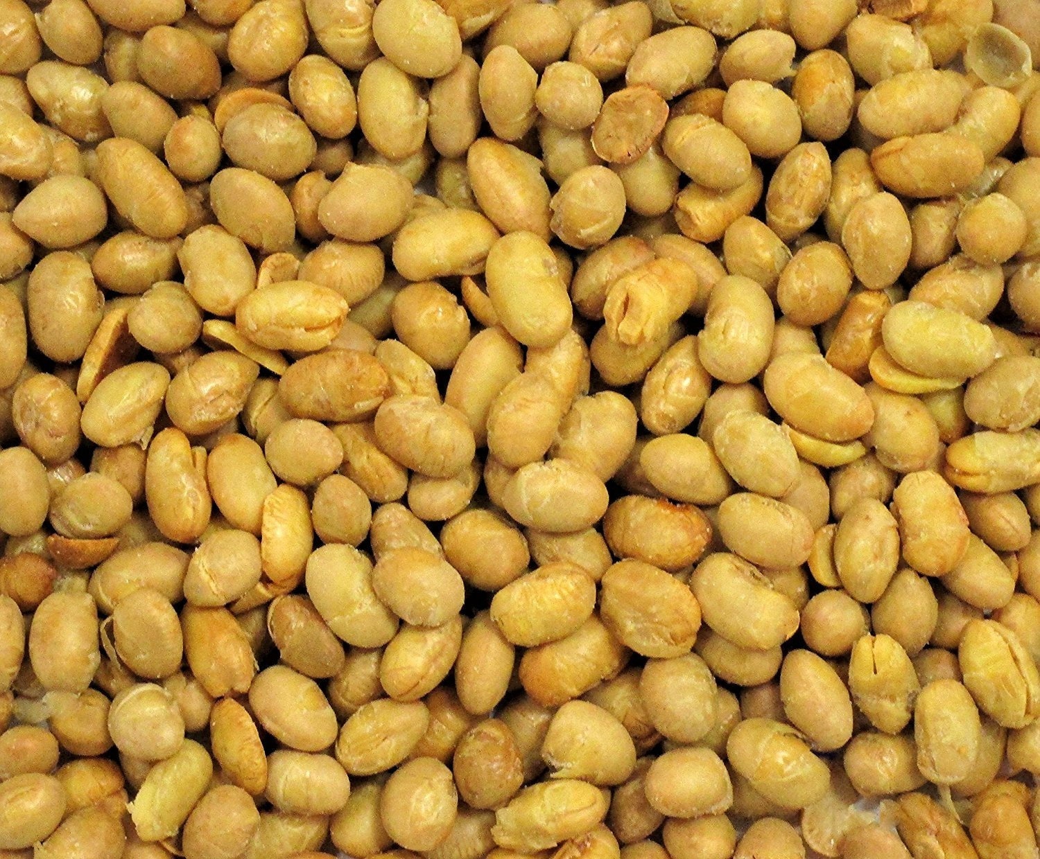 Gourmet Roasted Salted Soy Beans soy Nuts by Its Delish ten Etsy