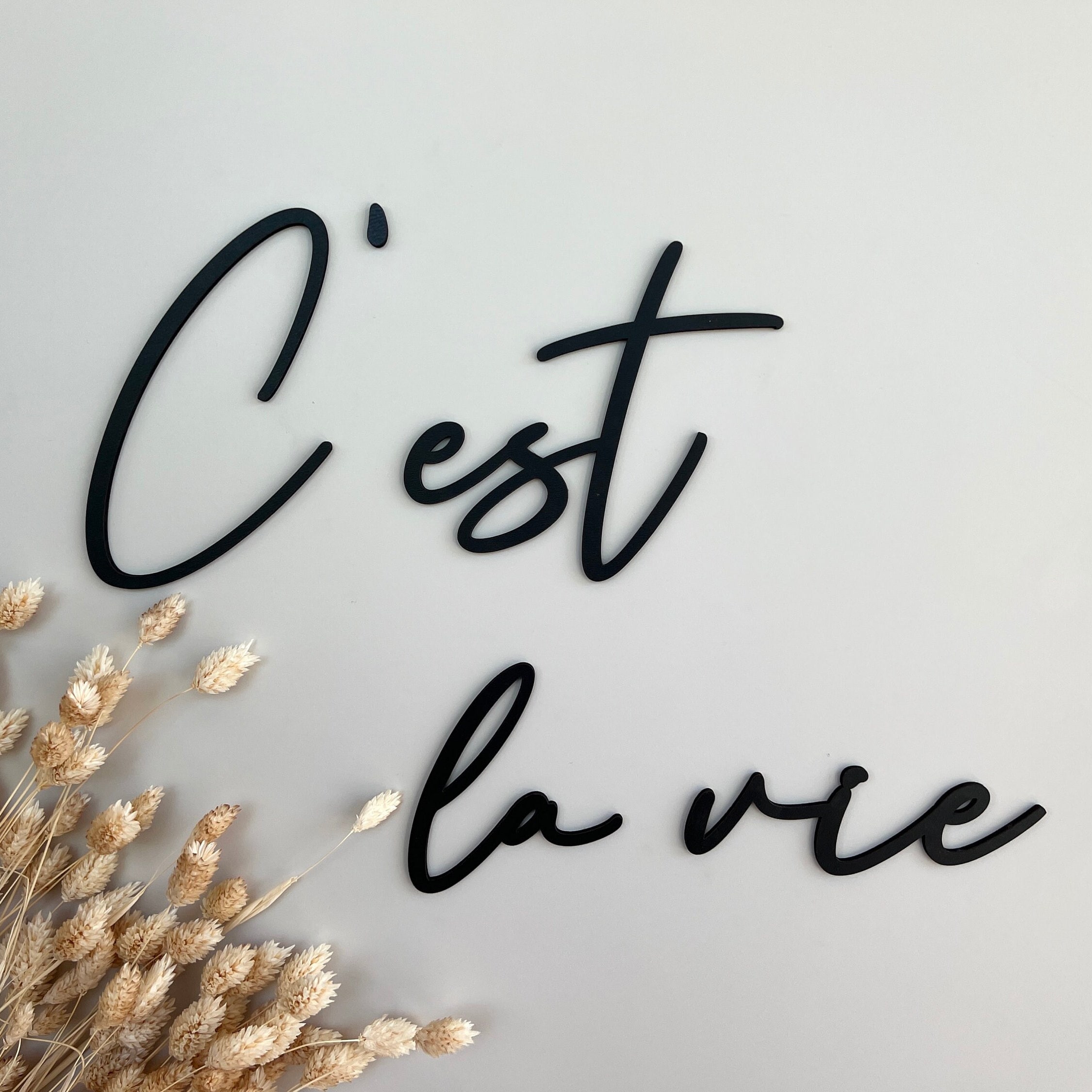 Lettering cest La Vie That s Life Etsy