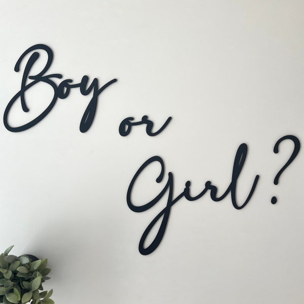 Baby reveal Schriftzug {Boy or Girl} zum Aufhängen