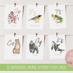 Watercolor Animal Alphabet Flashcards, Classroom resource, Early Learning, Homeschooling