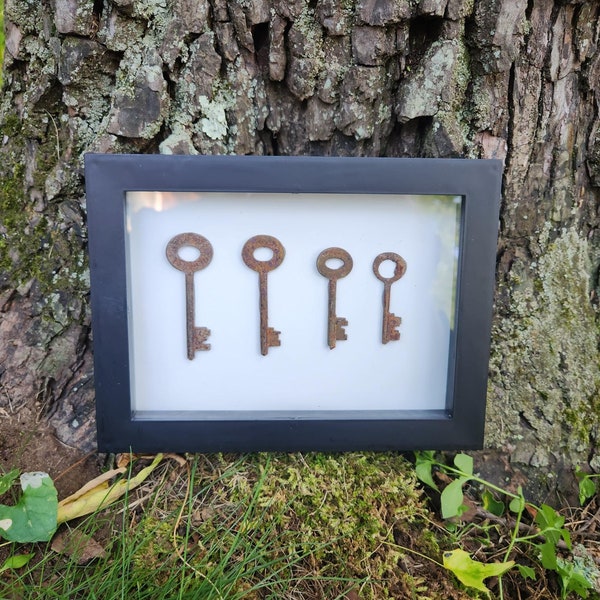 Picture Frame Skeleton Key, shadowbox wall art, Unique Gift, Vintage, Upcycled - Little Flaw