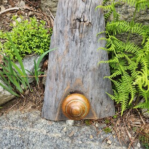 Peut inclure: Une pancarte en bois vieilli avec un bouton circulaire de couleur laiton au centre. La pancarte est entourée de fougères vertes et de rochers.