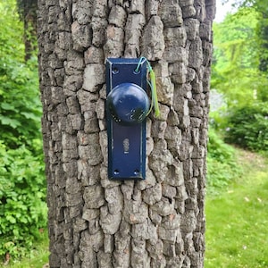 May include: A dark blue door knob with a keyhole is attached to a tree trunk. The knob is made of metal and has a round shape. The tree trunk is brown and has a rough texture.