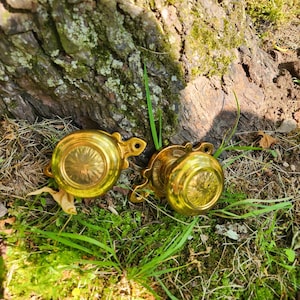 以下が含まれることがあります： 緑の草と苔の上に置かれた、装飾的なディテールが施された2つのアンティーク真鍮キャビネットノブ。ノブは、中央のパターンと装飾的なハンドルを備えた円形デザインです。真鍮の温かみのある金色が自然な環境と対照的です。