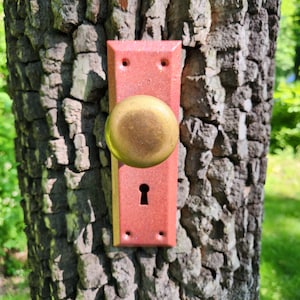 以下が含まれることがあります： 木の幹に取り付けられた、ピンクのドアノブ。金色のハンドルと鍵穴があります。