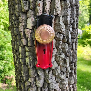 May include: A black and red door knob with a gold-colored trim and a keyhole. The knob is attached to a tree trunk.