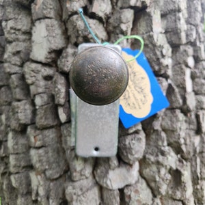 Könnte beinhalten: Ein rustikaler Haken aus Metall mit einem runden, dunkelbraunen Knopf, der an einem Baumstamm befestigt ist. Der Haken ist mit einer silbernen Metallplatte befestigt.