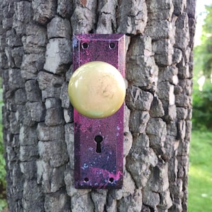 May include: A pink and black door knob with a gold handle is mounted on a tree trunk.