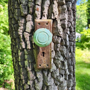 Könnte beinhalten: Ein rostiger, grüner Türknauf ist an einem Baumstamm befestigt. Der Knauf ist von rauer Rinde umgeben.