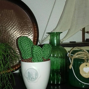 Gehaakte cactus, gehaakt plantje, mini cactussen, huisdecoratie, plantje zonder water, kunstplantje, nepcactus