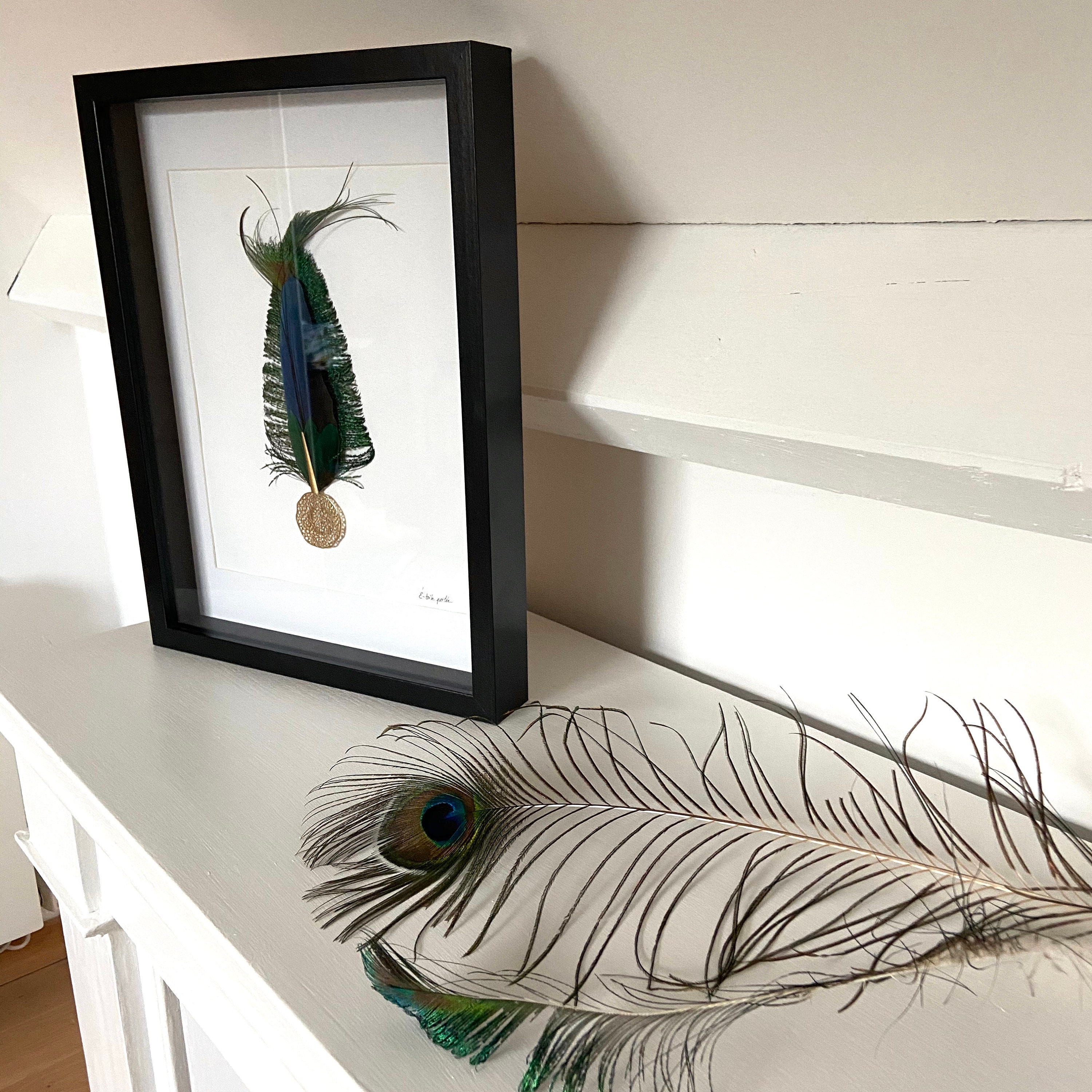 Cadre 3D Noir Bijou Mural en Laiton et Ses Plumes de Paon Perroquet