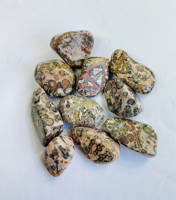 Leopard Skin Jasoer Tumbled Stones Natural TB084 X