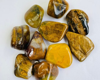 Lion King Jasper Tumbled Stones Natural TB087 x 1