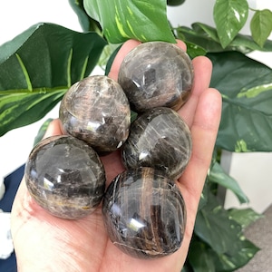 Black Moonstone Palm Stone PS021 x 1
