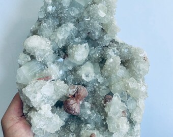 ピンクのアポフィライトが青い玉髄の上に自立する希少な結晶 AP434