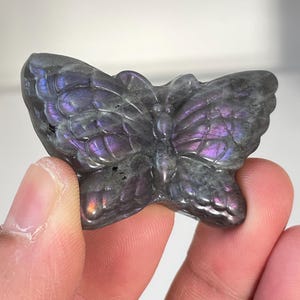Purple Labradorite Butterfly Carving LA130