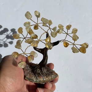Citrine Gem Tree/Crystal Tree (S) 7 branches, 35 Crystals TR041
