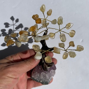 Citrine Gem Tree/Crystal Tree (S) 7 branches, 35 Crystals TR039
