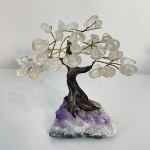 Quartz Gem Tree/Crystal Tree (S) 7 branches, 35 Crystals TR077