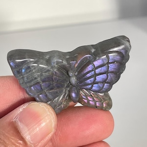 Purple Labradorite Butterfly Carving LA129