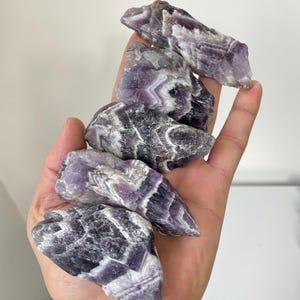 Puede incluir: Cinco cristales de amatista en bruto con bandas púrpuras y blancas. Los cristales son de varias formas y tamaños y están dispuestos en una pila.