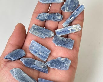 1 x Blue Kyanite Blade Raw Natural Crystals RW16