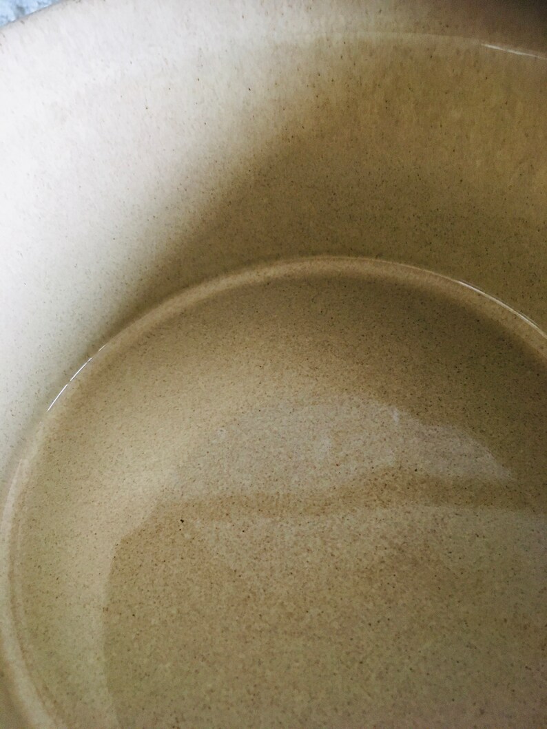 May include: A close-up view of the inside of a large, beige ceramic bowl. The bowl is empty and has a smooth, slightly textured surface.