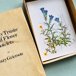 May include: A set of notecards featuring a botanical illustration of blue and yellow wildflowers. The cards are in a cardboard box with the text "Lily Trusts' Wild Flower Notelets" and "By Mary Grierson".