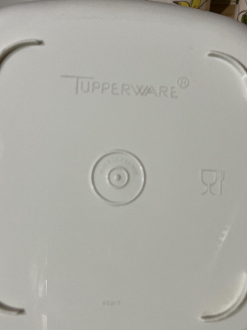 Tupperware Vegetable Storage Container/retro Kitchen Goods/made in