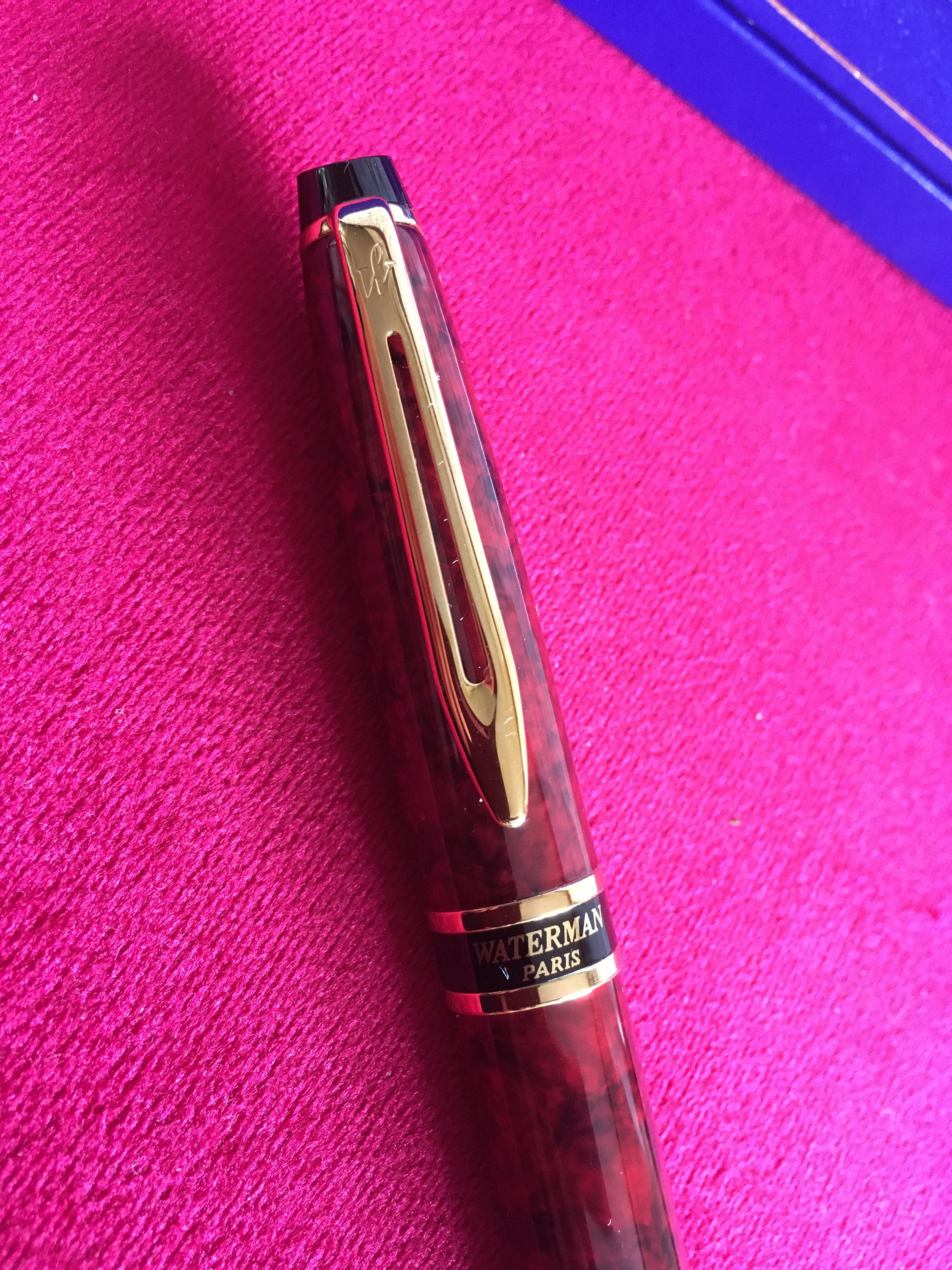 Waterman Paris Expert fountain pen/90's unused/Made in Etsy