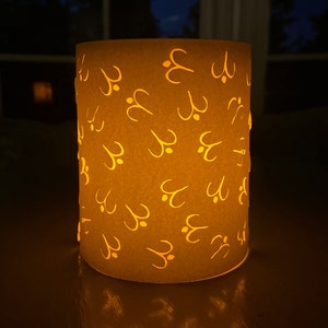 Tangled Lantern | Rapunzel Lantern | Small Rapunzel and Flynn Non-Hanging Paper Lanterns | SHIPPED UNASSEMBLED