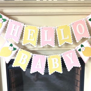 Lemon Birthday Decor, Pink Lemonade Decorations , Hello Baby shower Party image 10